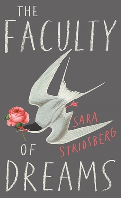 The Faculty of Dreams: Longlisted for the Man Booker International Prize 2019 - Stridsberg, Sara, and Bragan-Turner, Deborah (Translated by)