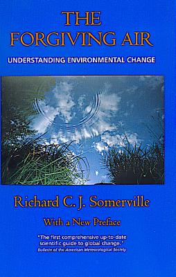 The Forgiving Air - Somerville, Richard C J
