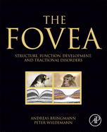 The Fovea: Structure, Function, Development, and Tractional Disorders