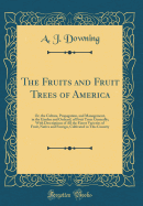 The Fruits and Fruit Trees of America: Or, the Culture, Propagation, and Management, in the Garden and Orchard, of Fruit Trees Generally; With Descriptions of All the Finest Varieties of Fruit, Native and Foreign, Cultivated in This Country