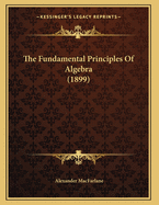 The Fundamental Principles of Algebra (1899)