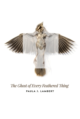 The Ghost of Every Feathered Thing - Shavin, Julie Kim (Editor), and Lambert, Paula J