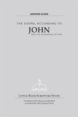 The Gospel According to John and the Johannine Letters: Volume 4 Volume 4 - Lewis, Scott M