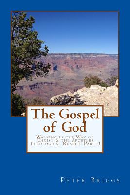 The Gospel of God: Walking in the Way of Christ & the Apostles Theological Reader, Part 3 - Briggs, Peter