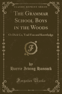 The Grammar School Boys in the Woods: Or Dick Co, Trail Fun and Knowledge (Classic Reprint)