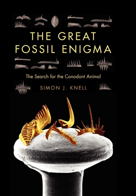 The Great Fossil Enigma: The Search for the Conodont Animal - Knell, Simon J, Professor