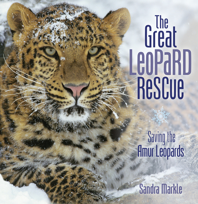 The Great Leopard Rescue: Saving the Amur Leopards - Markle, Sandra
