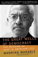 The Great Wells of Democracy: The Meaning of Race in American Life