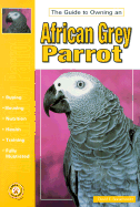 The Guide to Owning an African Grey Parrot
