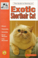 The Guide to Owning an Exotic Shorthair Cat - Commings, Karen