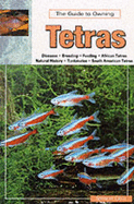 The Guide to Owning Tetras - Glass, Spencer