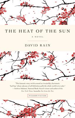 The Heat of the Sun - Rain, David