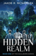 The Hidden Realm: Book One of the Soulborn Series