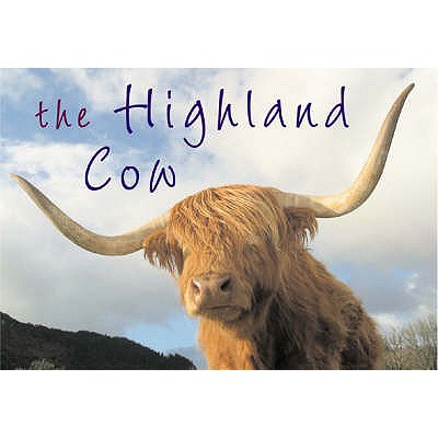 The Highland Cow - Taylor, Kenny
