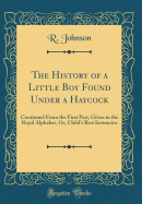 The History of a Little Boy Found Under a Haycock: Continued from the First Part, Given in the Royal Alphabet, Or, Child's Best Instructor (Classic Reprint)