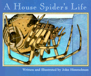The House Spider's Life