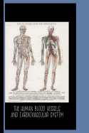 The Human Blood Vessels and Cardiovascular System (1898): Sketch Book: Die Blutgefasse Des Menschen / Gallery and Museum Art