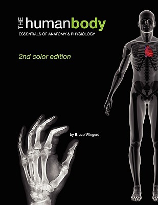 The Human Body: Essentials of Anatomy & Physiology (Second Color Edition) - Wingerd, Bruce, Mr.