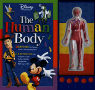 The Human Body - Beck, Paul, and Fairman, Jennifer (Illustrator)