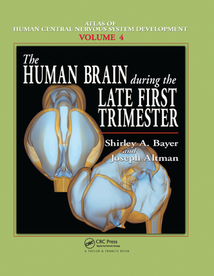 The Human Brain During the Late First Trimester - Bayer, Shirley A., and Altman, Joseph