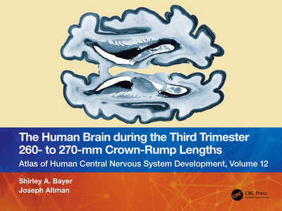 The Human Brain During the Third Trimester 260- To 270-MM Crown-Rump Lengths: Atlas of Central Nervous System Development, Volume 12 - Bayer, Shirley A, and Altman, Joseph