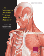 The Illustrated Portfolio of Human Anatomy and Pathology: The Definitive Collection of 30 Anatomical Charts of the Human Body.