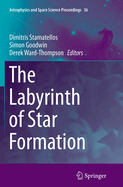 The Labyrinth of Star Formation