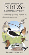 The Laws Pocket Guide to the Birds of the Sacramento Valley: Birds of the Sacramento Valley
