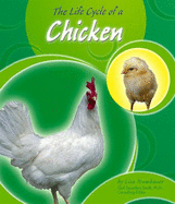 The Life Cycle of a Chicken