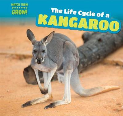 The Life Cycle of a Kangaroo - Austen, Amy