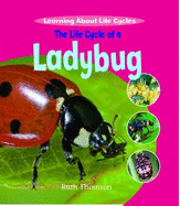 The Life Cycle of a Ladybug