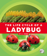 The Life Cycle of a Ladybug