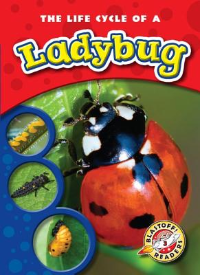 The Life Cycle of a Ladybug - Sexton, Colleen