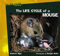 The Life Cycle of a Mouse