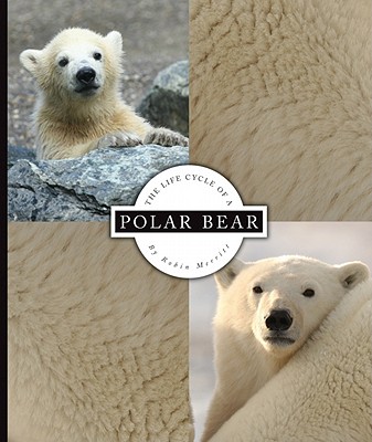 The Life Cycle of a Polar Bear - Merritt, Robin