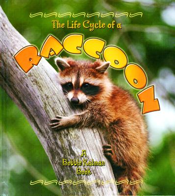 The Life Cycle of a Raccoon - Crossingham, John, and Kalman, Bobbie