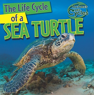 The Life Cycle of a Sea Turtle - Kingston, Anna