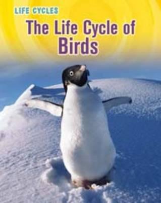 The Life Cycle of Birds - Gray, Susan H