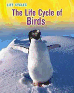 The Life Cycle of Birds