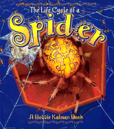 The Life Cycle of the Spider