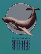 The Life Cycle of the Whale