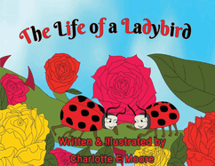 The Life of a Ladybird