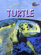The Life of a Turtle