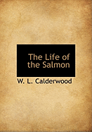 The Life of the Salmon