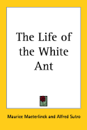 The life of the white ant
