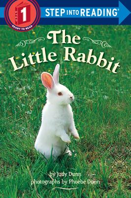 The Little Rabbit - Dunn, Judy