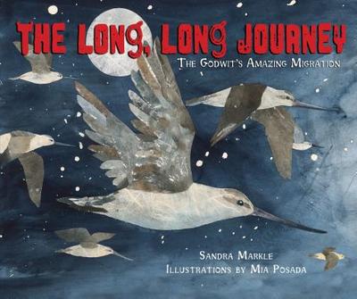 The Long, Long Journey: The Godwit's Amazing Migration - Markle, Sandra