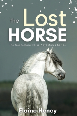 The Lost Horse: Book 6 in the Connemara Horse Adventure Series for Kids - Heney, Elaine