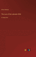 The Lure of the Labrador Wild: in large print