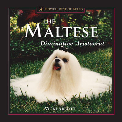 The Maltese: Diminutive Aristocrat - Abbott, Vicki